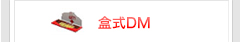 ��ʽDM