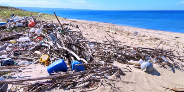 深刻なプラスチックごみによる海洋汚染