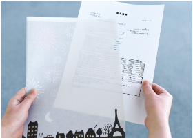 プラゼロファイル