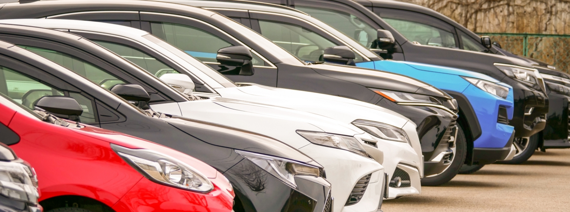 思わず開けたくなるDM「レスポン君」特別キャンペーン実施中