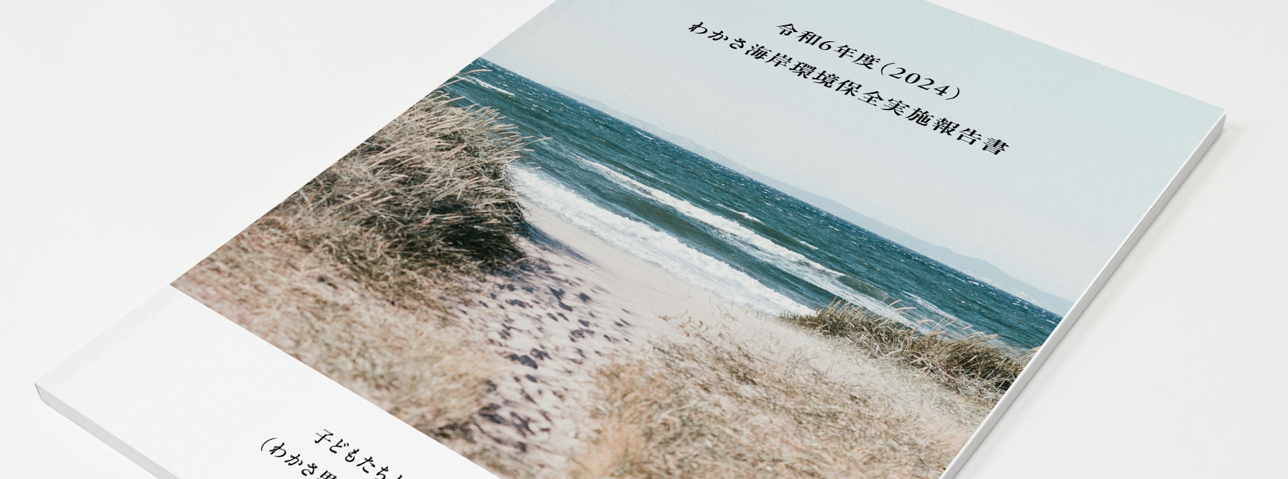 思わず開けたくなるDM「レスポン君」特別キャンペーン実施中