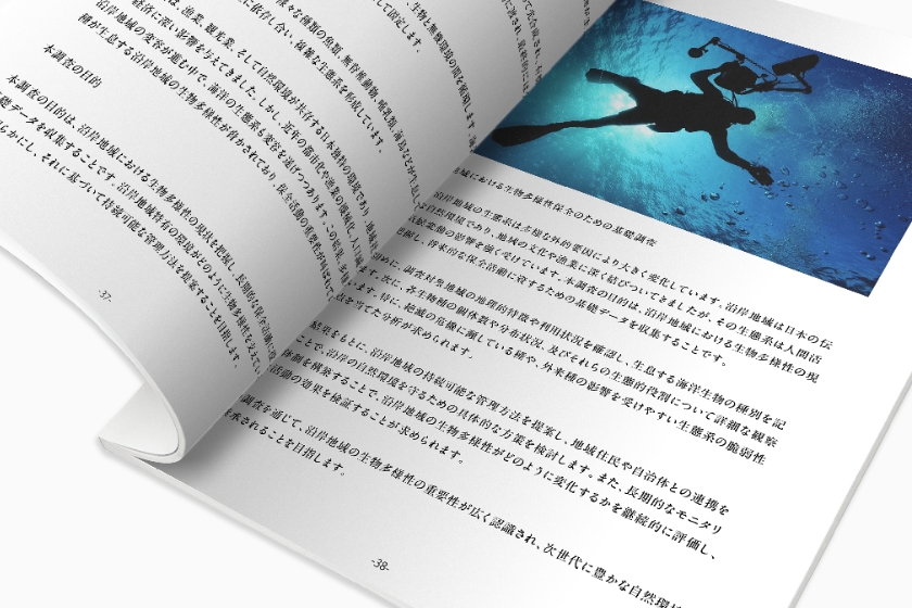 ノンブルなど文字入れに対応