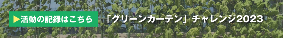 2023年グリーンカーテン活動