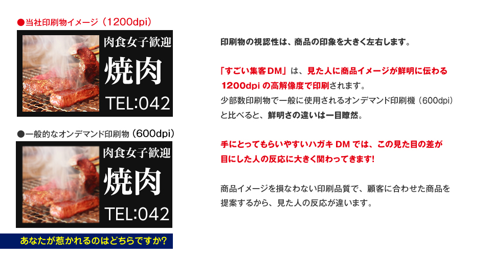 「すごい集客DM」は見た人に商品イメージが鮮明に伝わる2400dpiの高解像度で印刷されます