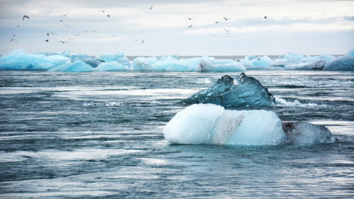 南極の氷