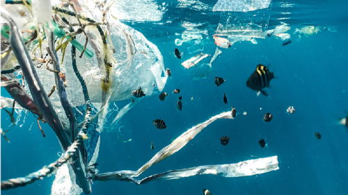 海に漂流するプラスチックごみ